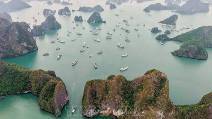 Quang Ninh boosts cruise tourism to lure international visitors